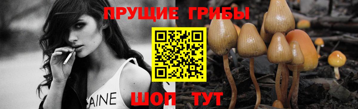 Михайловка  Псилоцибиновые грибы мухоморы  Вход с VPN  Галлюциногенные грибы мицелий 