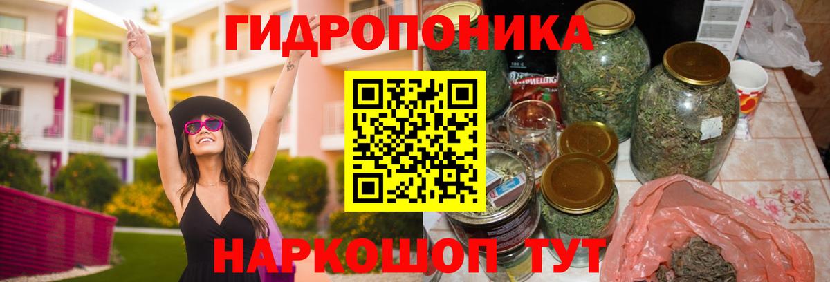 Михайловка  Канабис индика  Вход с VPN  Конопля MAZAR  Канабис ГИДРОПОН 