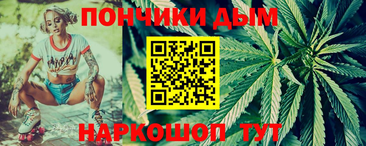 Бошки Шишки планчик Михайловка